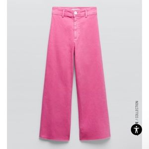 Zara marine pants